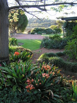 Forrest Hills Ridge - Accommodation 4U 11