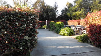 Branxton House Motel, Hunter Valley - Accommodation 4U 13