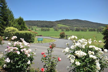 Langbrook Estate Cottages - Accommodation 4U 15