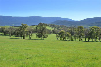 Langbrook Estate Cottages - Accommodation 4U 16