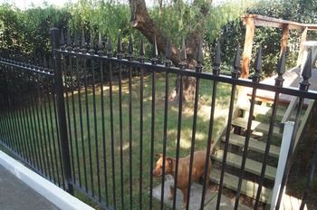 Old Maitland Inn - Accommodation 4U 51