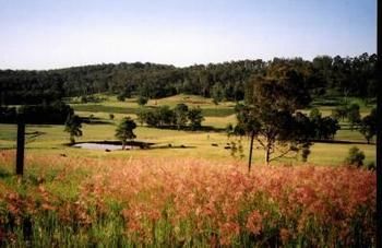 Hill Top Country Guest House - Accommodation 4U 10