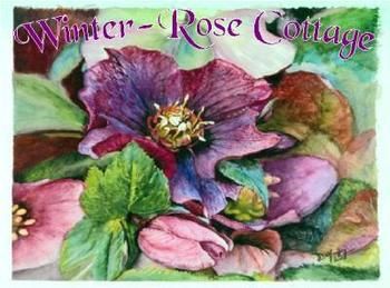 A Winter-rose Cottage B&B - Accommodation 4U 0