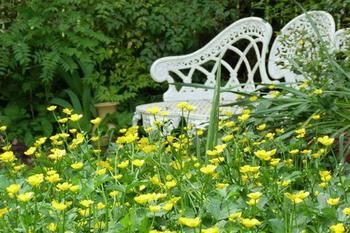 A Winter-rose Cottage B&B - Accommodation 4U 4