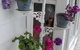A Winter-rose Cottage B&B - thumb 5