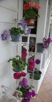 A Winter-rose Cottage B&B - Accommodation 4U 5
