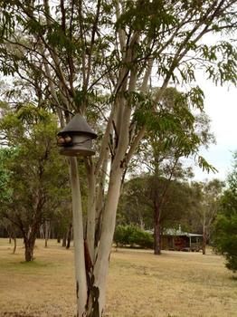 Buffs At Pokolbin - Accommodation 4U 2