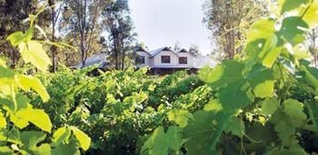 Spicers Vineyards Estate - Accommodation 4U 3
