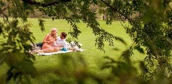 Spicers Vineyards Estate - Accommodation 4U 4