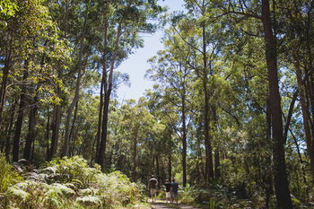 Bawley Bush Retreat And Cottages - Accommodation 4U 9