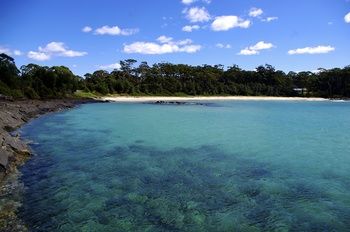 Bawley Bush Retreat And Cottages - Accommodation 4U 36