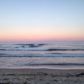 Bawley Bush Retreat And Cottages - Accommodation 4U 40