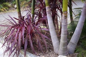 Bawley Bush Retreat And Cottages - Accommodation 4U 42