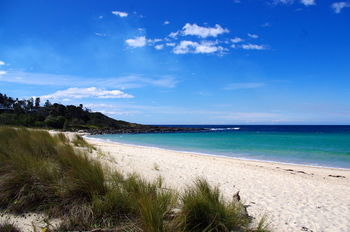 Bawley Bush Retreat And Cottages - Accommodation 4U 58