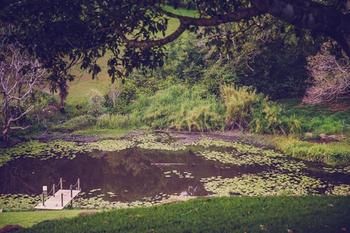 Allara Homestead - Accommodation 4U 5