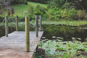 Allara Homestead - Accommodation 4U 14