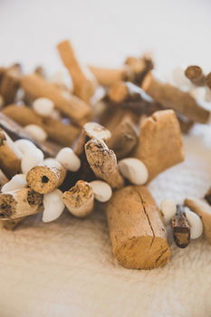 Allara Homestead - Accommodation 4U 23