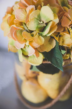 Allara Homestead - Accommodation 4U 30