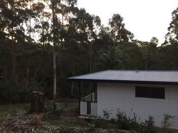 Mapleton Cabins & Caravan Park - Accommodation 4U 19