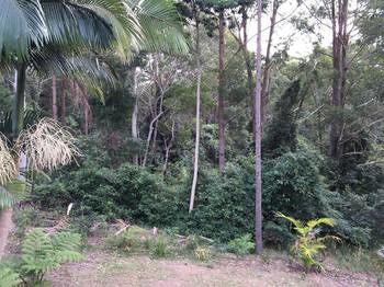 Mapleton Cabins & Caravan Park - Accommodation 4U 27