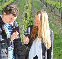 Valley Farm Vineyard Cottages - Accommodation 4U
