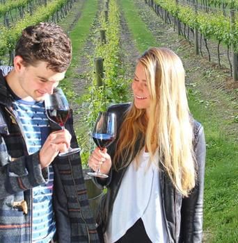 Valley Farm Vineyard Cottages - Accommodation 4U 0