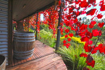 Valley Farm Vineyard Cottages - Accommodation 4U 5