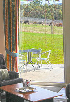 Valley Farm Vineyard Cottages - Accommodation 4U 9