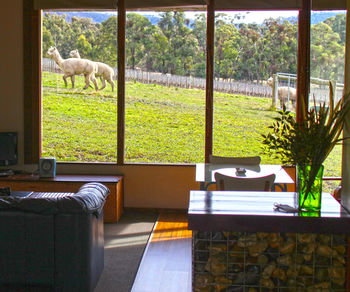 Valley Farm Vineyard Cottages - Accommodation 4U 17