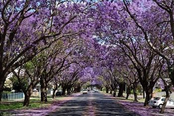 Civic Motel - Accommodation 4U 2