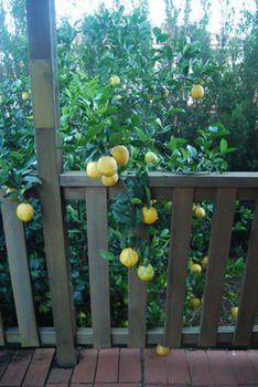Highclaire House Bed And Breakfast - Accommodation 4U 28