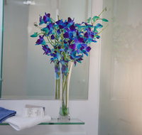 Grand Hotel Wyong - Accommodation 4U