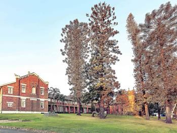 Mercure Maitland Monte Pio - Accommodation 4U 52