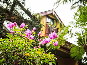 The Regents Park - Accommodation 4U 3