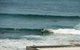 Newcastle Beach Hotel - thumb 11