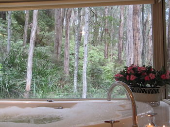 Myers Creek Cascades Luxury Cottages - Accommodation 4U 10
