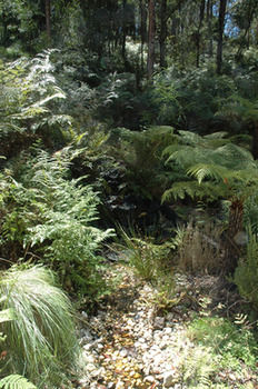 Myers Creek Cascades Luxury Cottages - Accommodation 4U 41