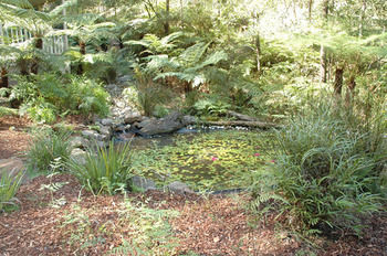 Myers Creek Cascades Luxury Cottages - Accommodation 4U 42