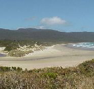 Cloudy Bay Cabin - Accommodation 4U