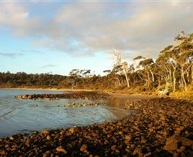 Bruny Island Experience - Accommodation 4U 4