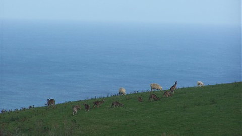 Clifton Beach Lodge - Accommodation 4U 5