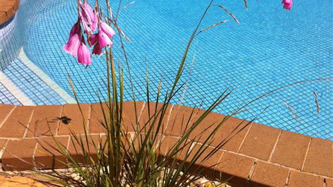 The Murray View Motel - Accommodation 4U 6