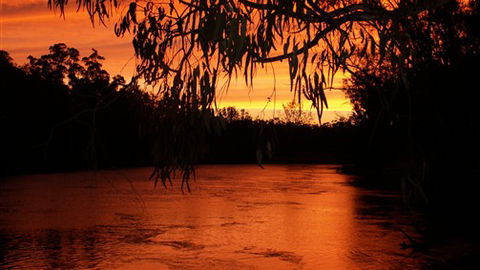 Cadell On The Murray Motel - Accommodation 4U 0