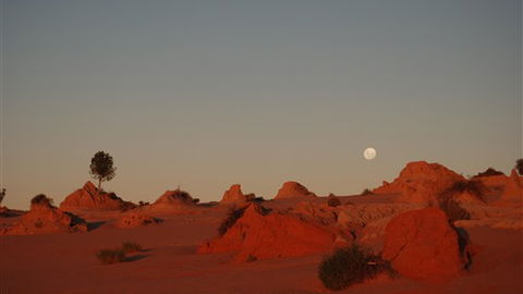Mungo Lodge - Accommodation 4U 6