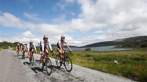 Diana Alpine Lodge - Accommodation 4U 4