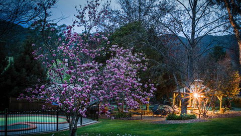 Bright Mystic Valley Holiday Units - Accommodation 4U 2