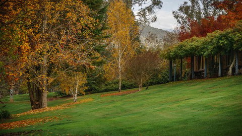 Bright Mystic Valley Holiday Units - Accommodation 4U 7