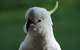 Around About Lorne Studios Or B&B - thumb 0