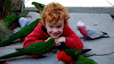 Around About Lorne Studios Or B&B - Accommodation 4U 3