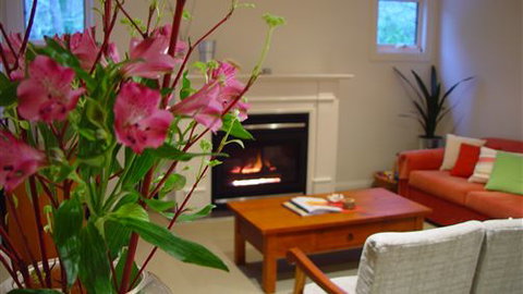 Around About Lorne Studios Or B&B - Accommodation 4U 4